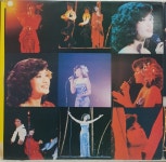 J1019 / MOMOE YAMAGUCHI 山口百惠 - BUDOKAN AT LAST ( 3 x LP) : 토트샵