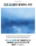 안경습기제거 김서림 방지 안경 클리너 서리 닦이 천 닦기 닦는 법 수건 방법 극세사 : 109Mall