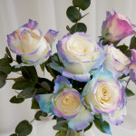 오로라 무지개 장미 꽃다발 꽃다발 생일선물 꽃택배 꽃배달 기념일 연인선물 : 플로라노