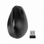 M2018WL 무선 인체공학마우스 손목터널증후군 세워서 코지버티컬마우스 다나와 마우스 : 찬영몰