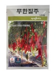 2025년 무한질주고추씨앗  1200립  신젠타 고추종자 : 씨앗하우스