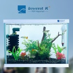 구피 거북이 금붕어 어항장식 어항 꾸미기 장식품 용품 백설공주 해변 인조유목 INK-01 : 인벤트케이