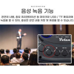 대형 가정용 노래방기기 듀얼 무선 마이크 유무선 블루투스 스피커 FM라디오 강의용 캠핑용 : 파라팡