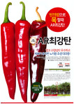 AR최강탄 1200립 고추 씨앗 종자 탄저내병계 품종 사카타코리아 : 농사마트