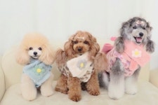 [핑크멍] 파트라리본호피조끼 : 핑크멍