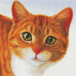 [보석자수] Y3D 귀여운갈색고양이 44.9x44.3cm : 더십자수