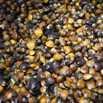 전통방식으로 만들어 진한 섬진강 재첩국 500g 6팩 100% 자연산 나루터 제첩국 하동 : 남해로부터