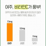 국산 여주 분말 가루 120g : 다올스페이스