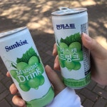 해태 썬키스트 머스캣 드링크 240ml 30캔 : 청화마트