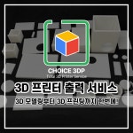 3D 프린터 출력 대행 / 3D 모델링 / FDM DLP / 도색 후가공 / 시제품 제작 : CHOICE 3DP