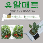 암면매트(4구)75x150x900mm/1000mm 암면슬라브 rock wool 락울 수경 양액 재배 (SV75151) : 참쉬운수경재배