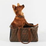 ITALY FENDI PET CARRIER 펜디 애견 강아지 가방 캐리어 : DRU 50 SHOW