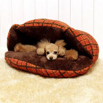 아이독아이캣 숨바꼭질 베드 - 체크 (오렌지) : 캣독09