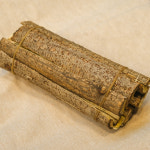 [금천구 배달] 자연 그대로 옻나무 1개 [별빛남문 대성닭집] : 동네시장 장보기