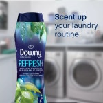 다우니 부스터 비즈 리프레쉬 Downy In-Wash Scent Beads : 라이마이미