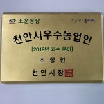 하늘안농부 천안배 가정용배 가공용배 7.5kg 15kg 성환 나주 안성 평택 상주 하동 : 하늘안농부
