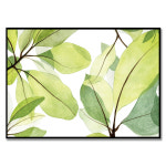 바라보면 좋은, 이슬비 작가 보테니컬 아트 식물 꽃 그림 인테리어 액자 : 엘디프