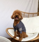 강아지옷 중형견 겨울 꽈배기 니트 가디건 3XL까지 : 스마일 마마