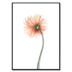 뒷면, 이슬비 작가 보테니컬 아트 식물 꽃 그림 인테리어 액자 : 엘디프