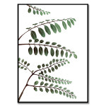 식물의 흔적, 이슬비 작가 보테니컬 아트 식물 꽃 그림 인테리어 액자 : 엘디프