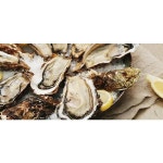 [산지직송] 국내산 여수 석화 10kg : 현대Hmall