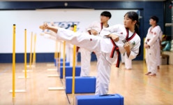 타툴 도미노 스틱 1pcs  / 태권도 용품 : 인천체육사