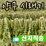 [직접재배 산지직송] 강원도 양구 동면 시래기 1kg : 바랑골 농장