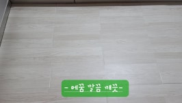 데코타일 보수 모아사메꿈제, 셀프마루보수 틈새메꾸미 바닥접착제 (100g, 공구세트포함) : 셀프인테리어소품
