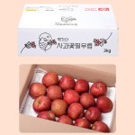 경북안동 2022년 햇부사 사과 가정용 대과 5kg 10kg[사과꽃필무렵] : 사과꽃필무렵