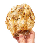 더 두꺼운 쥐포 10kg 직수입 대용량 식자재 도매 : 먹보건어물