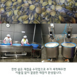 100% 자연산 하동 섬진강 재첩국 500g 5팩 해장 냉동 제첩국 : 조은쌤
