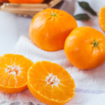 제주 레드향 선물세트 5kg 설날 명절 혼합 과일 바구니 감귤 제수용 코스트코 : 별다방market