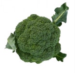 [친환경인증]제주고동일농장  무농약/유기농 제주 브로콜리 3 kg : 친환경농산물 제주고동일농장