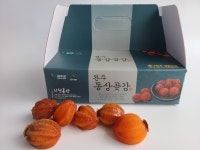 [산천농장] 완주 동상 곶감 가정용 실속형 선물세트(100과, 49과) : 산천농장
