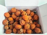 [산천농장] 완주 동상 곶감 가정용 실속형 선물세트(100과, 49과) : 산천농장