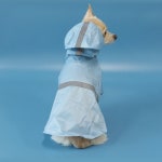 아트멍 레인코트 강아지비옷 대형견 아우터 바람막이 : 끌레르펫