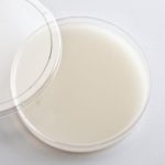 BCIG 한천배지(5-bromo-4-chloro-3indolyl-β-D-glucuronide (BCIG) agar) BCIG agar plate 40plate/box : 센서젠 생배지