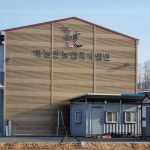 하늘안농부 천안 성환배 추황배 가정용배 7.5kg : 하늘안농부