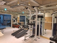 헬스119 치닝디핑 어시스트머신 턱걸이 평행봉 등 가슴운동 : Health119