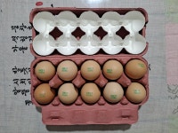 난각번호 1번 방사 NON-GMO 유기사료 가축행복 인증 무항생제 농장직송 계란 30구 유정란 달걀 초란 HACCP 해썹 : 생명꾸러미 푸름 자연유정란