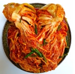 김장김치주문 안매운 국내산 배추 무 마늘 포기 엄마손 맛있는 알타리 김치주문 : 매가스토어