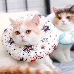 도넛 쿠션 넥카라 뉴욕스타 M 강아지 고양이 패션 : 해피 댕냥
