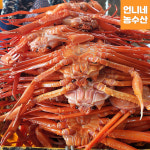 초특가 정품 후포리 홍게 3kg 10미 영덕 울진 대게 언니네농수산 : 언니네농수산