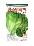 곱슬아삭이 10000립 아삭이상추 권농종묘 코팅씨앗 고품질 상추씨앗 흥농팜아그로 : 흥농팜아그로