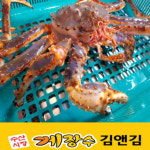 생물 활 킹크랩 한마리 믿을수 있는 게장수 김앤김대게 : 게장수김앤김