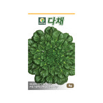 (DN) 다채 씨앗(비타민채) 씨앗(5g) : 화분백화점