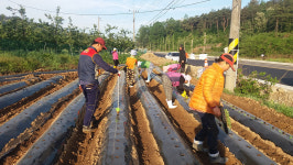 25년 햇 국산 볶음참깨 100g 매일 볶은 참깨 : 상주이장님농장