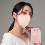 비에스에스 국산 발레오 2D 새부리형 일회용 컬러 마스크 대형 15매 : BSS 공식몰