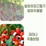 사슴태반 뉴질랜드 녹용 300ml : 미휴타임