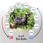 흑염소 즙 엑기스 흑염소진액 보약 90ml 30포 건강즙 : 행복한가정스토어